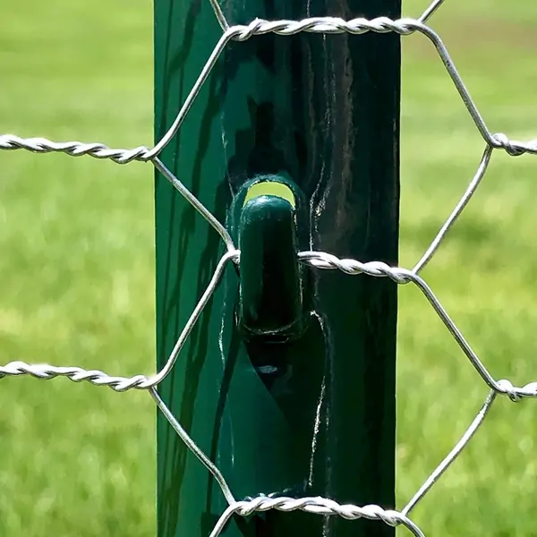 Galvanized Hexagonal Wire Mesh Product 5