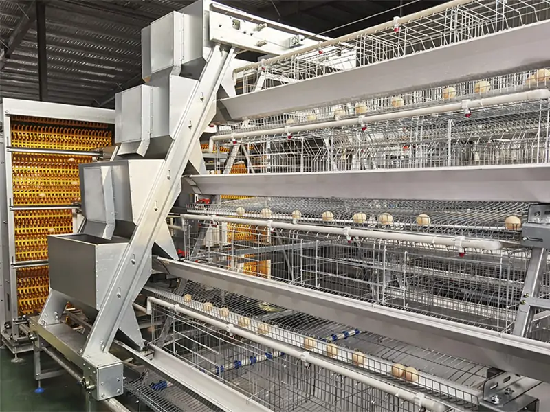 Automatic A type layer cage