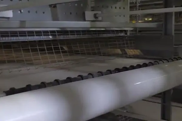 Automatic Broiler Cage 4