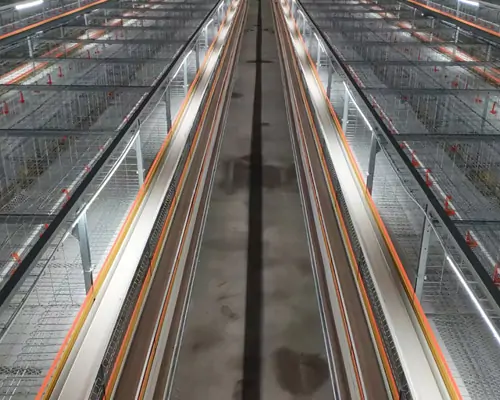 Automatic Broiler Cage for Sale