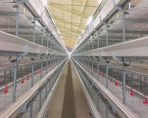 Cage and Frame