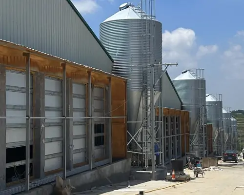 Feed Silo