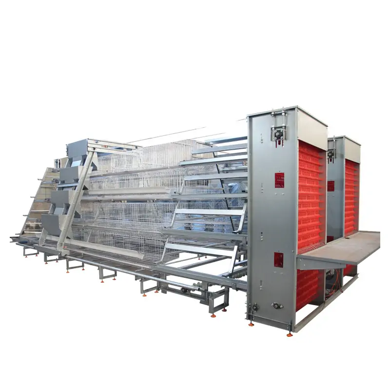 Layer Chicken Cage Fully automatic A type
