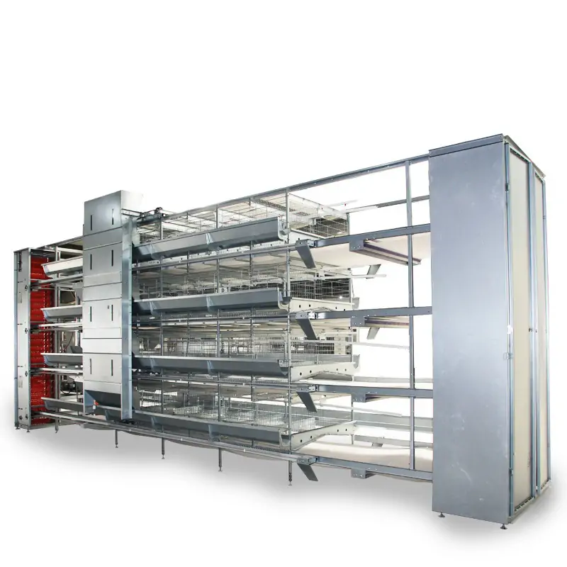 Layer Chicken Cage Fully automatic H type