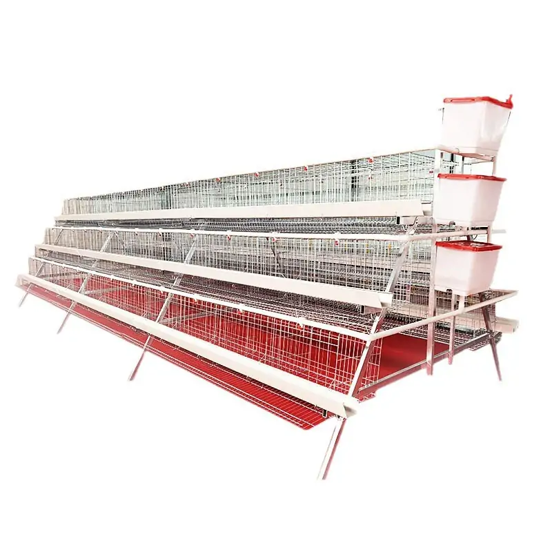Layer Chicken Cage Manual A type