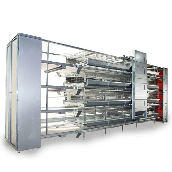 Layer Chicken Cage