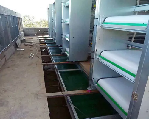 Manure removal system