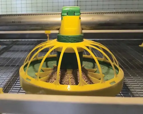 Pan Feeding System