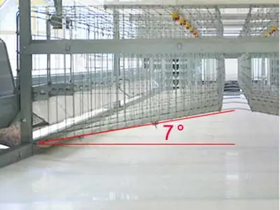 chicken cage Bottom Mesh