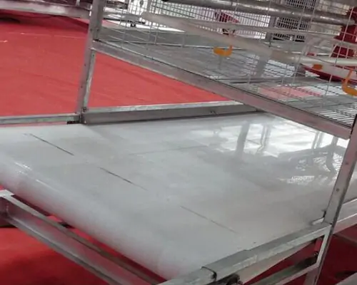 chicken manure removal system