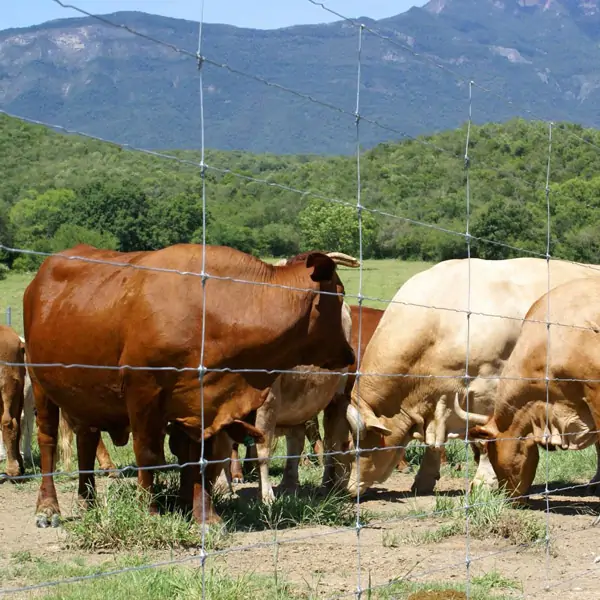 Fixed Knot Fence Application 5