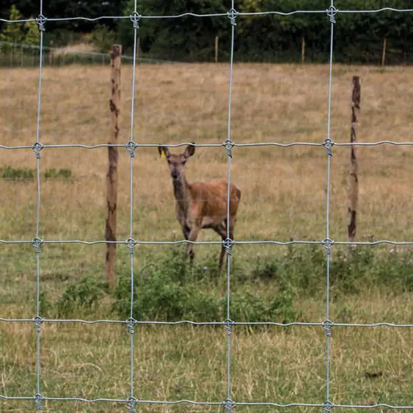 Fixed Knot Fence Application