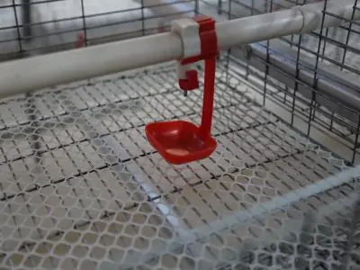 brooding-cage-drinking-system