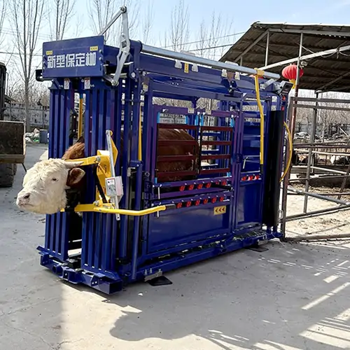 Cattle Squeeze Chute 2