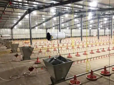Automatic poultry feed line
