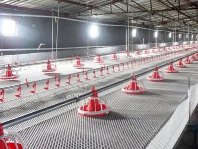 Different types of Poultry Slatted Floor System 2