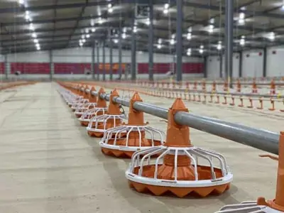Different types of Poultry Slatted Floor System 3