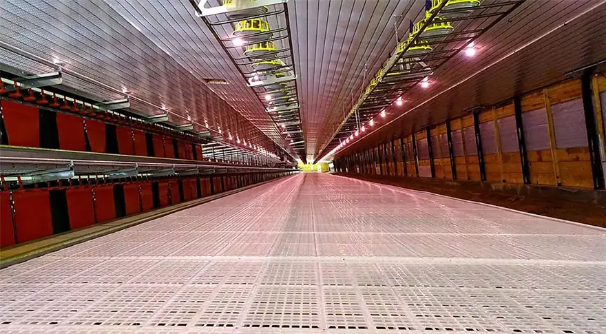 Poultry Slatted Floor System 1