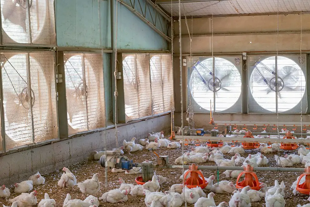 Ventilation Fan system
