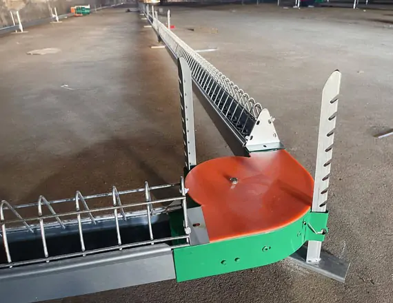 Chain Feeding Floor Breeder System 1