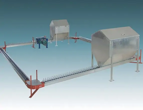 Chain Feeding Floor Breeder System