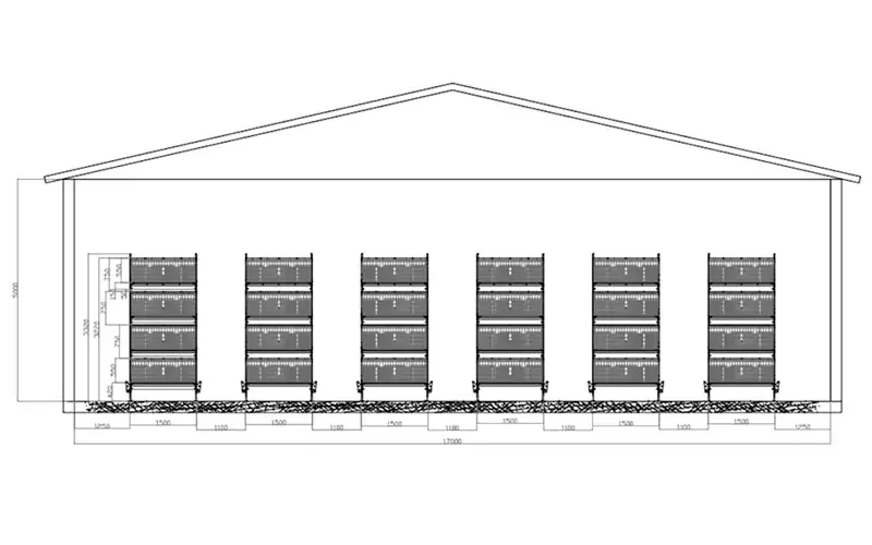 chicken house cross-section