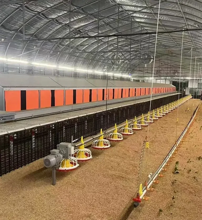 Poultry Deep Litter System