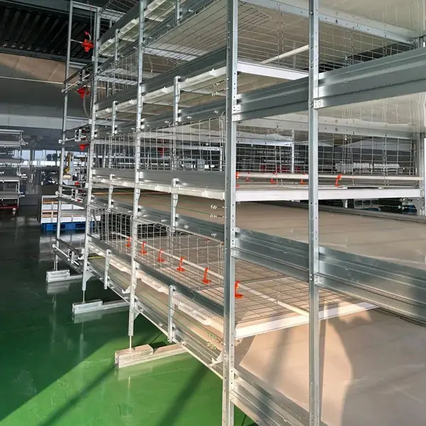 Pull-Out Slat Type Automatic Harvesting Broiler Cage 3