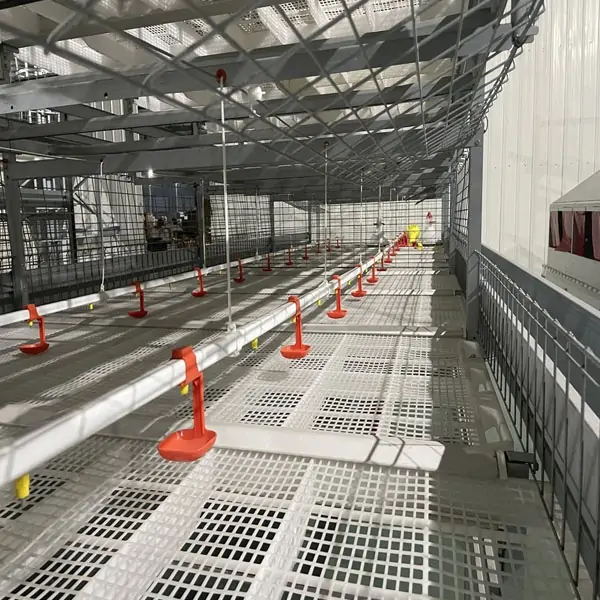 Pull-Out Slat Type Automatic Harvesting Broiler Cage 4
