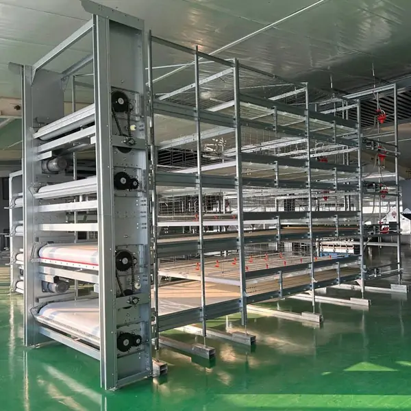 Pull-Out Slat Type Automatic Harvesting Broiler Cage 5