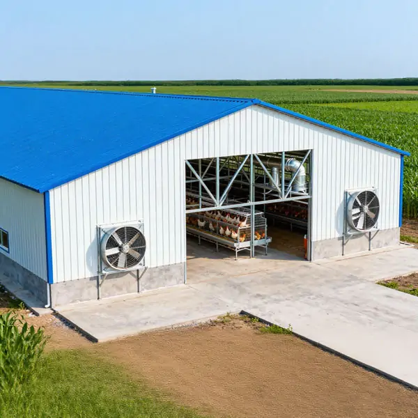 Prefab Steel Structure Chicken House 2