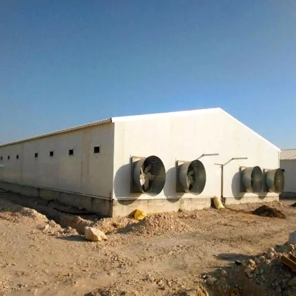 Prefab Steel Structure Chicken House 3