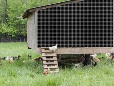 Agricultural protection and breeding Agricultural protection and breeding