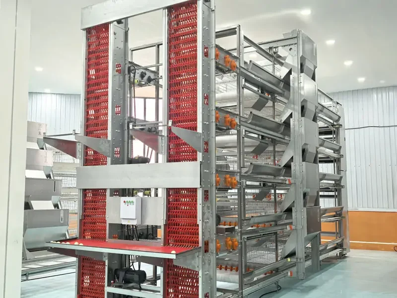 Fully automatic H type layer cages Fully automatic H type layer cages