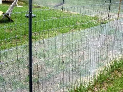 Protecting Poultry Protecting Poultry