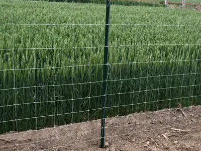 Protecting agriculture Protecting agriculture