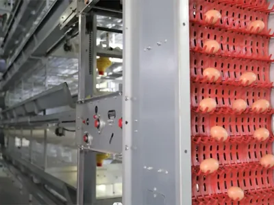 egg collecting system 1